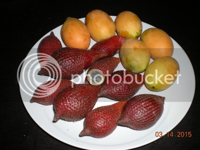 MAPRANG%20e%20SALAK%20DUE_zpsm2ganqda.jpg