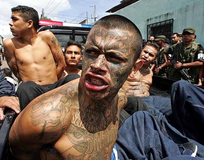mara_salvatrucha_13.jpg