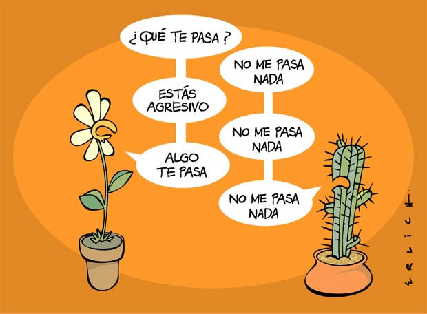 margarita-cactus.jpg