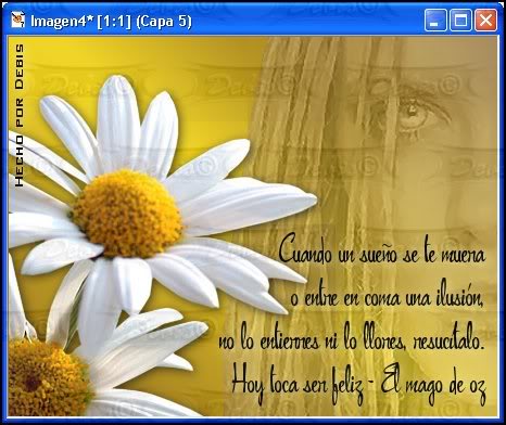 Margaritascaptura4.jpg