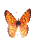 mariposa-amarilla-mov%20%2811%29.gif