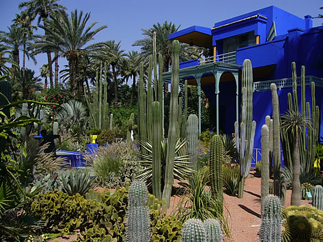 marrakech_jardin_majorelle.jpg