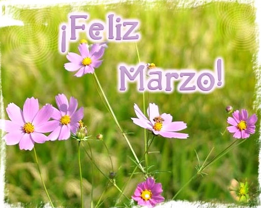 marzo_001.jpg
