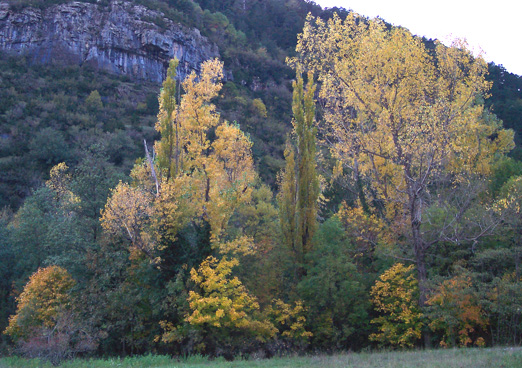 Mas otoño.jpg