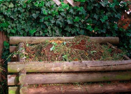materia-org%C3%A1nica-vegetal.jpg