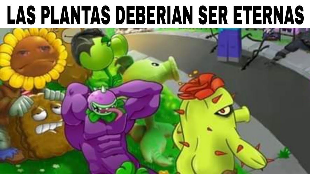 maxresdefault.jpg