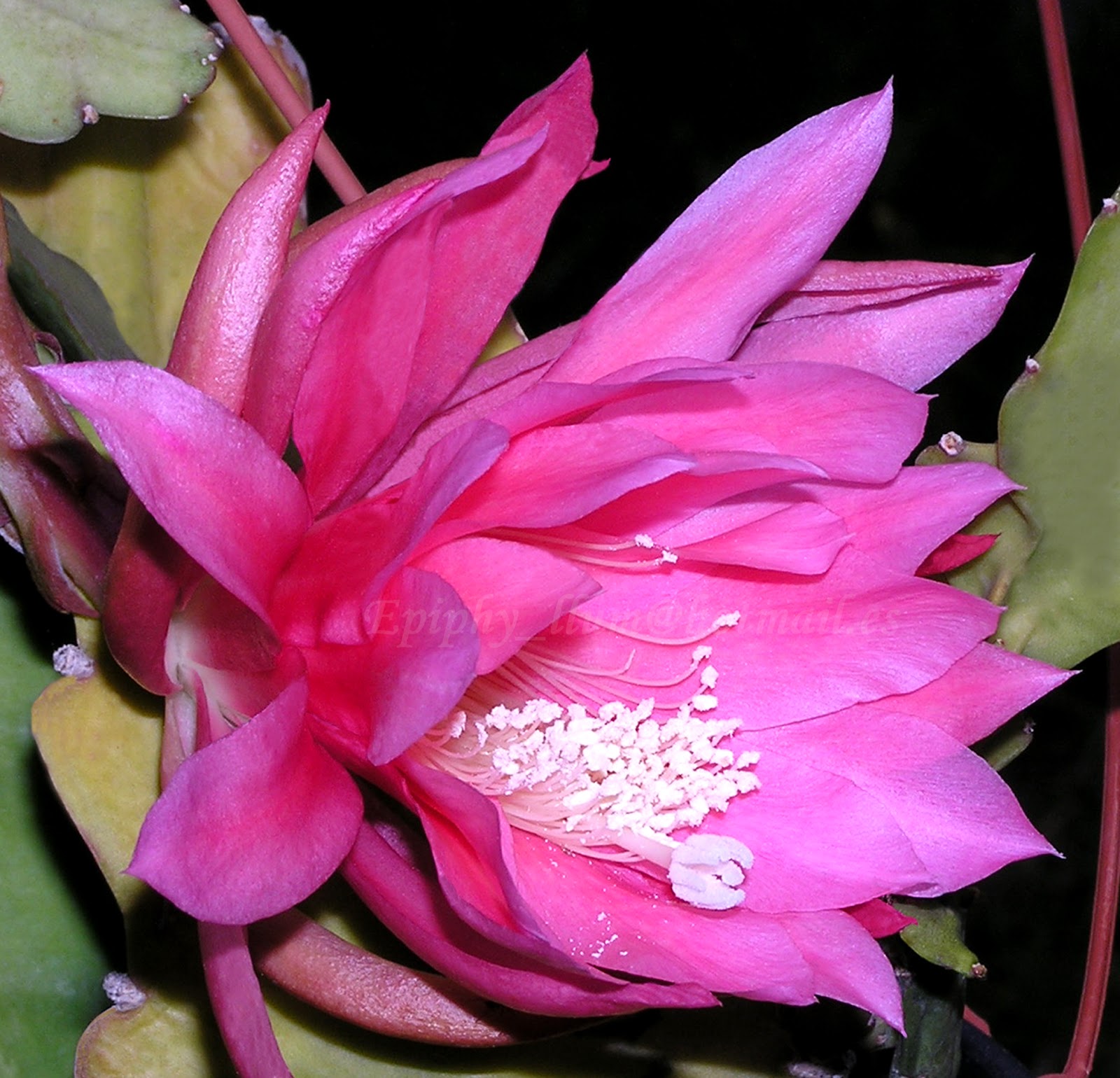 MAYENTRAUM%2B02.jpg