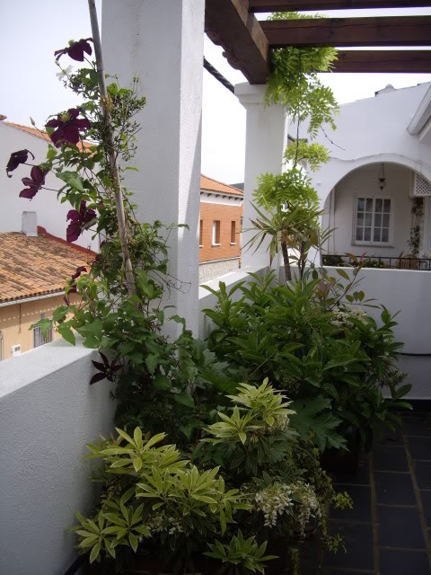 mayo2010Pentax02310.jpg