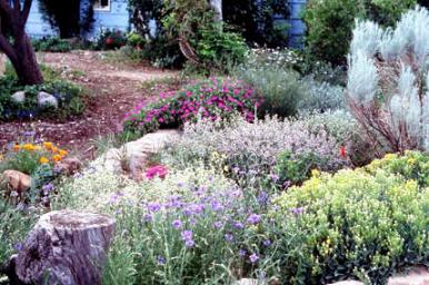 MBGarden%2520II.jpg
