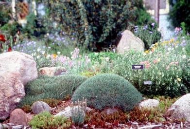 MBGarden%2520III.jpg