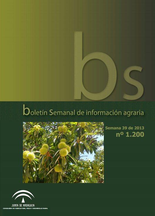 mbu4.jpg