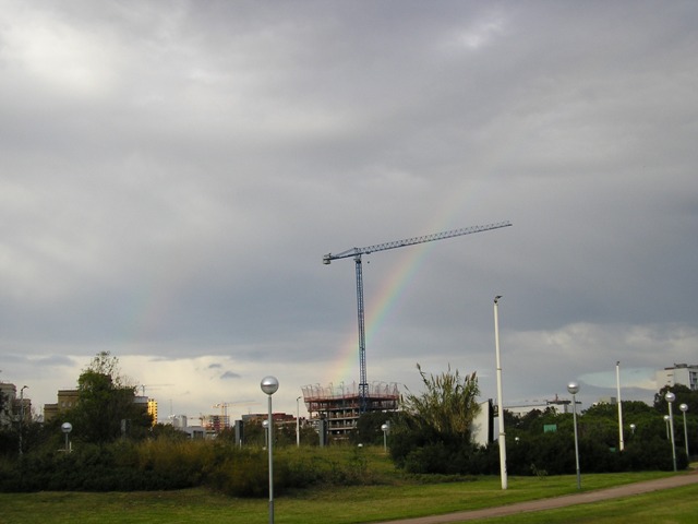 Mc_010.jpg