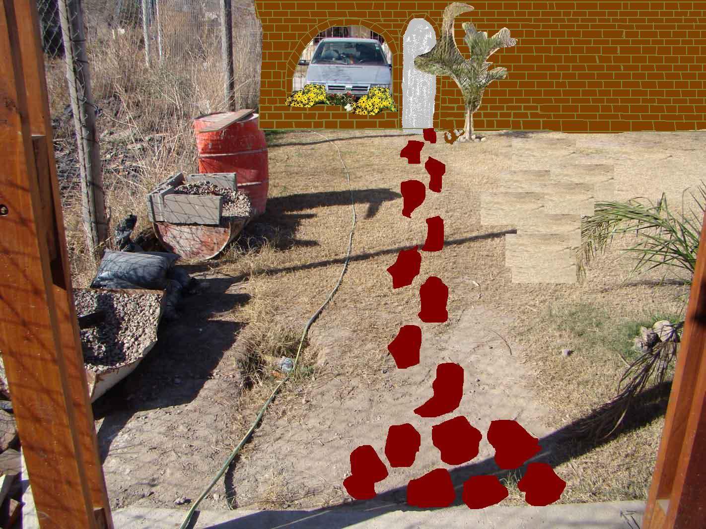 mcacnp.jpg