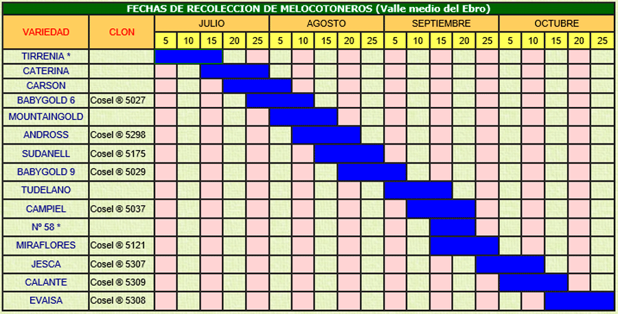 melocoton_1.gif