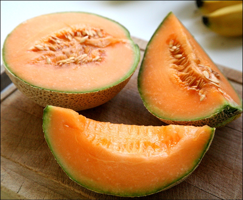 Sembrar melón en estado de México