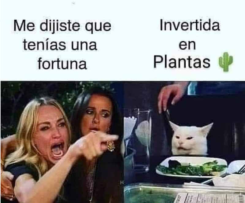 meme-fortuna-en-plantas.jpg