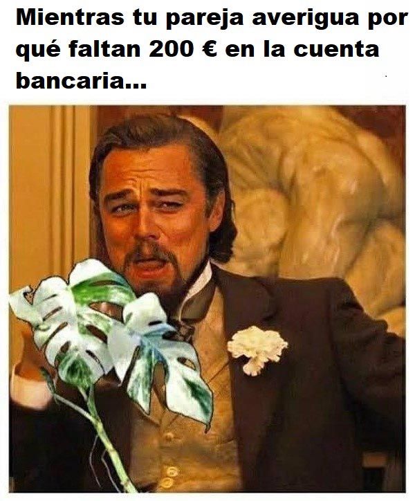 meme-plantas-di-caprio.jpg