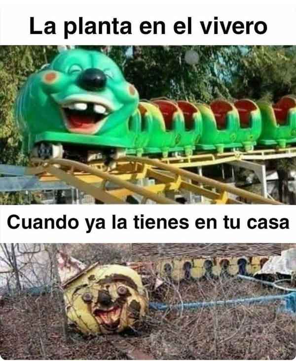 meme-plantas-vivero.jpg