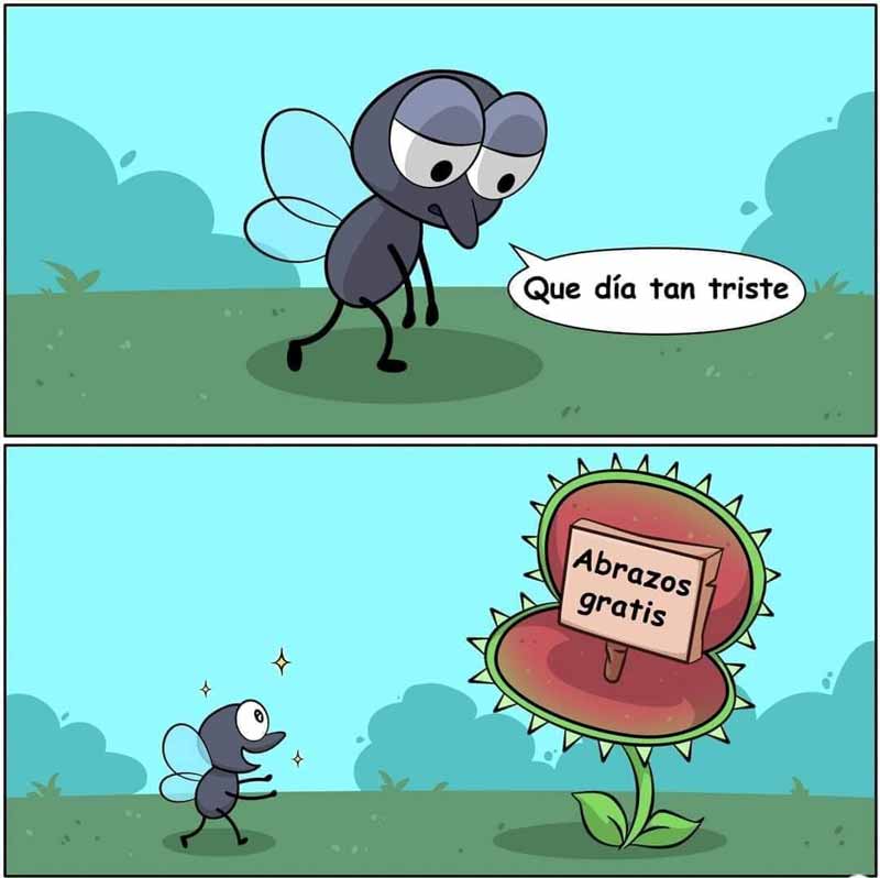meme-venus-atrapamoscas.jpg