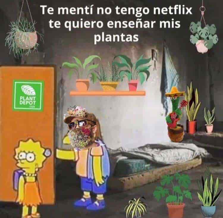 memes-suculentas-1.jpg