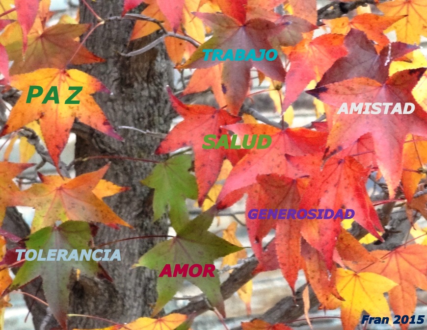 mensaje%2B2015.JPG