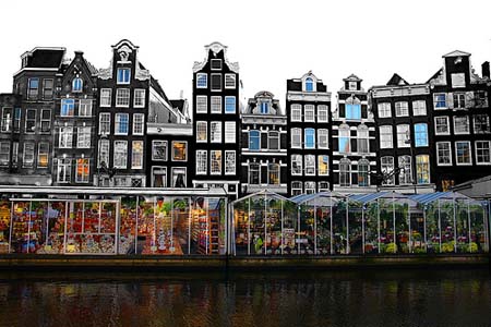 mercado-flotante-de-flores-Amsterdam.jpg