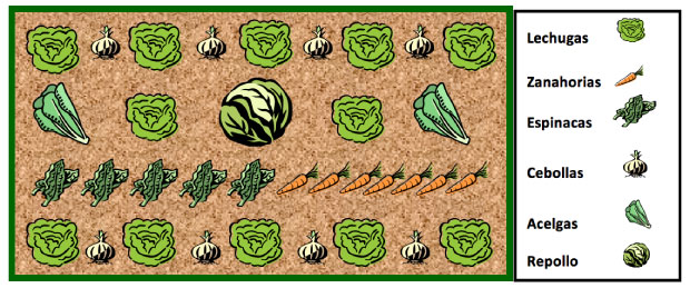 mesa-cultivo-otono-invierno.jpg