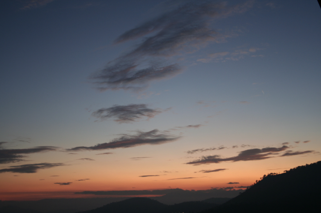 MG_5592.JPG