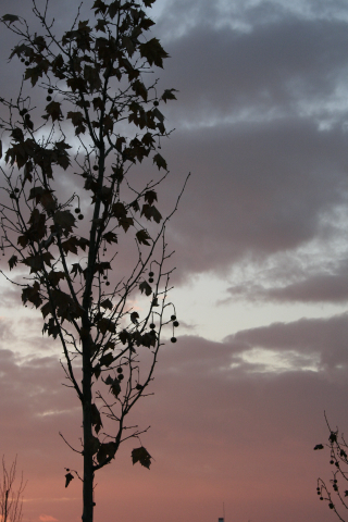 MG_5749.JPG