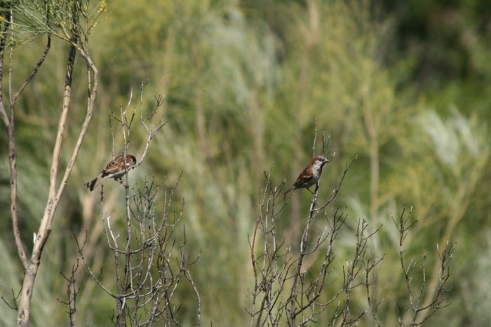 MG_7949.JPG