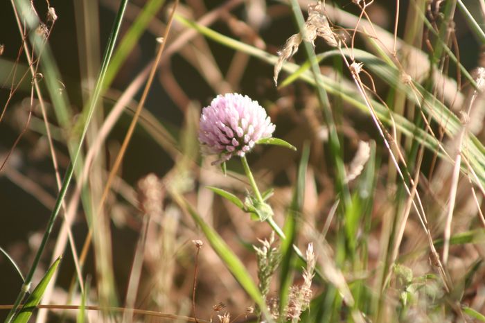 MG_8459.JPG