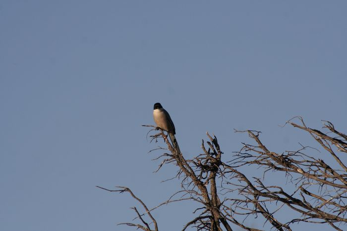 MG_9028.JPG