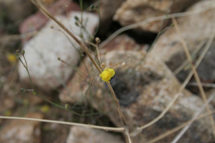 MG_9700.JPG