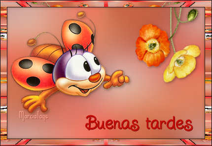 mgc-Bichito_BuenasTardes.jpg