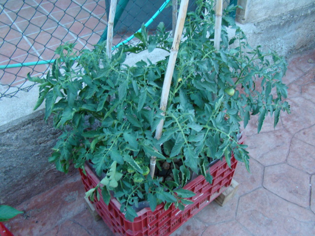 mhd30l.jpg