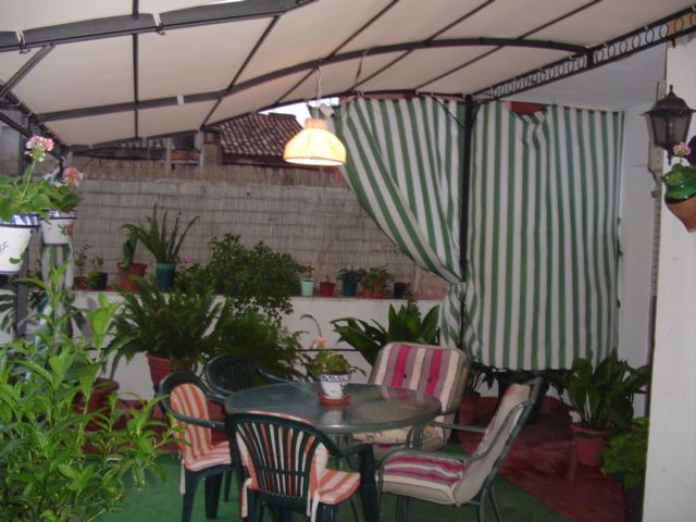 Mi%20querido%20patio%20041.jpg
