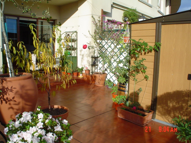 mi%20terraza%20155.jpg