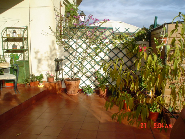 mi%20terraza%20156.jpg