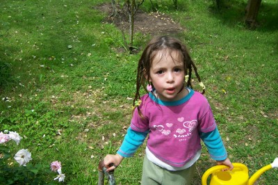 mi flor mas bella.jpg