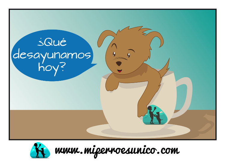 Mi-perro-es-unico-que-desayunamos-hoy.jpg