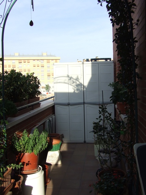 Mi terraza(2).JPG