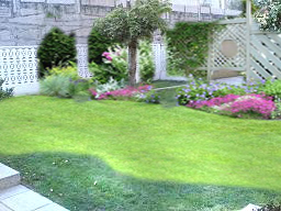 MI_JARDIN_1.jpg