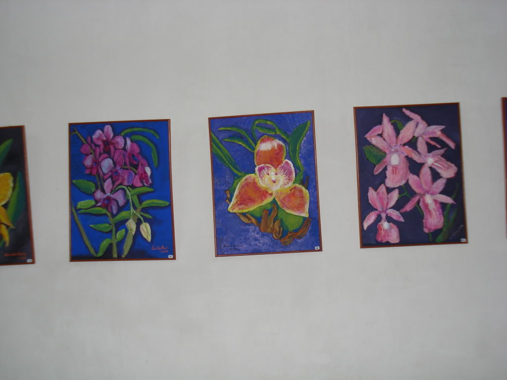 miamiorquis425.jpg
