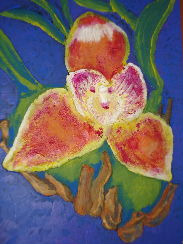 miamiorquis426.jpg