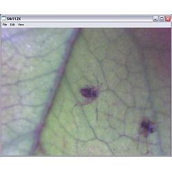 microscopio-pce-mm200-uso6.jpg