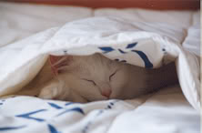Mina_cama_h.jpg