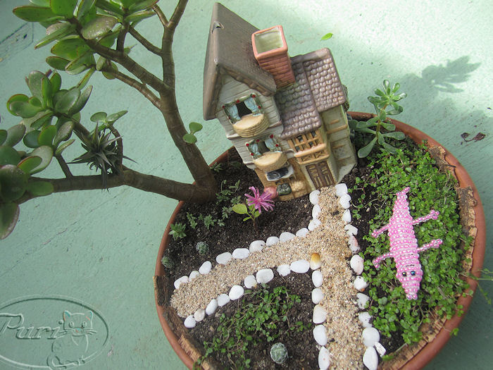 mini+jardin+3+septiembre+2011+%25282%2529.jpg