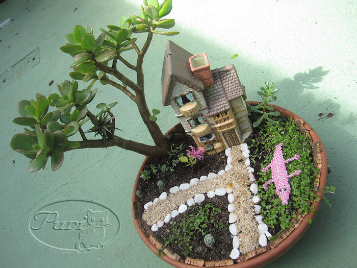 mini+jardin+3+septiembre+2011+%25284%2529.jpg