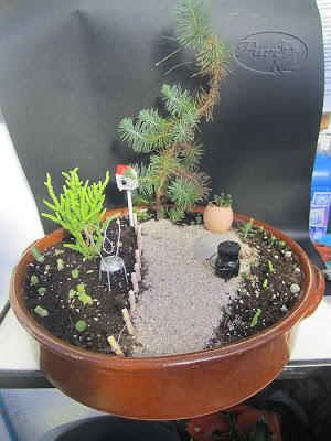 mini+jardin+el+parque+(5).jpg