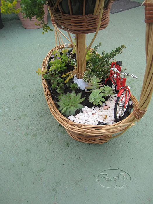 mini+jardin+en+cesta+de+navidad+(3).jpg